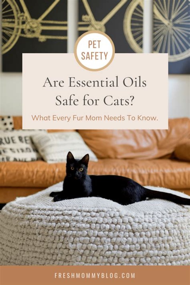 Is Rose oil safe for cats?