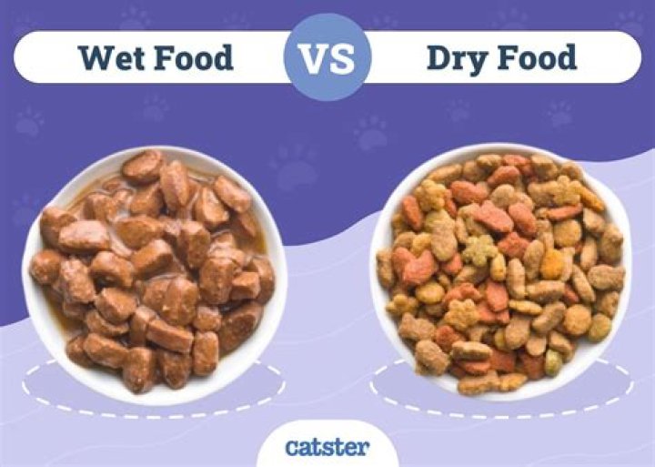 Is seafood wet food bad for cats?