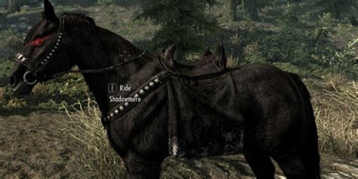 Is Shadowmere a female?