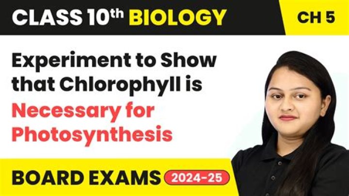 Is shocking a well Necessary?