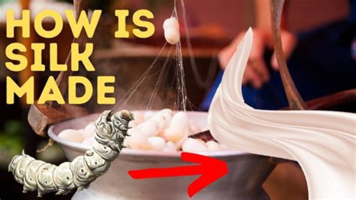 Is silk made from worm poop?
