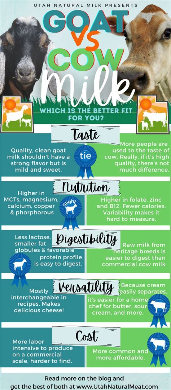 Is soy milk or cow milk better?