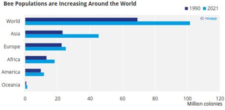 Is the bee population increasing 2021?