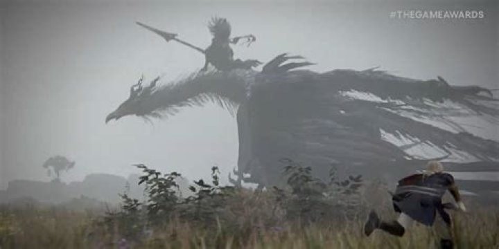 Is the Nameless King Gwyn?