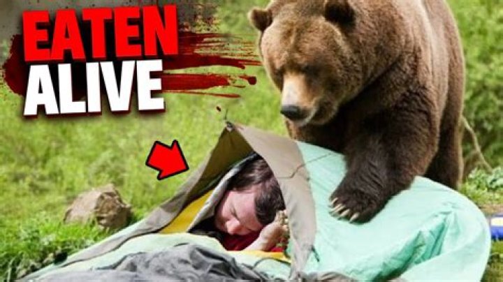 Is the Titanic getting eaten?