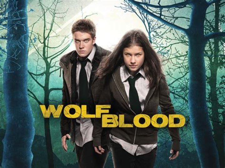 Is there a Wolfblood movie?