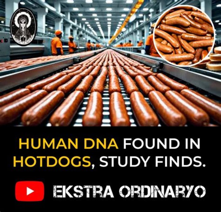 Is there human DNA in hotdogs?