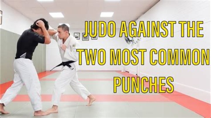Is there punching in judo?