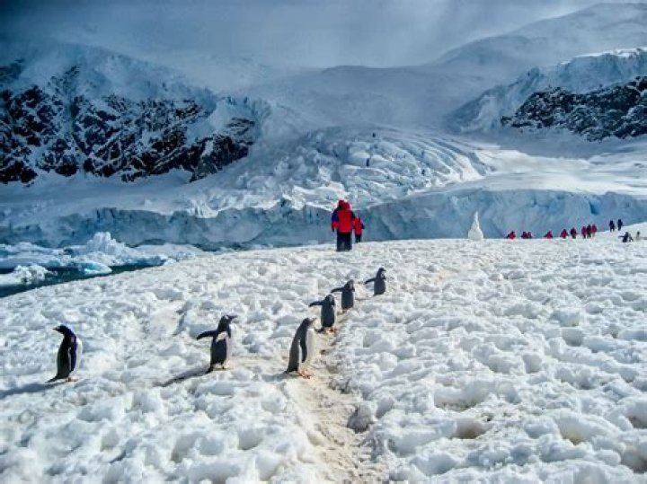 Is tourism allowed in Antarctica?