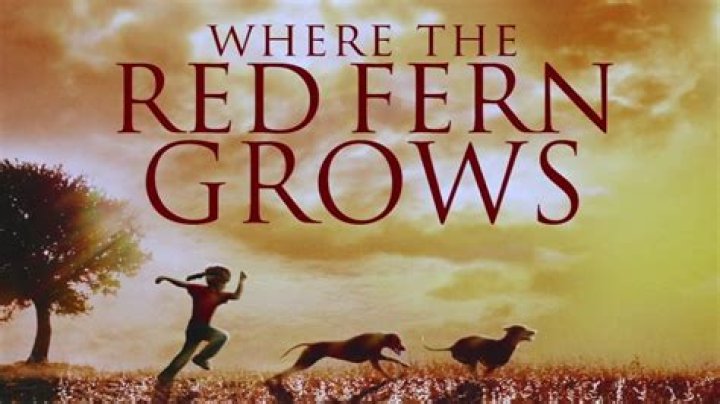 Is Where the Red Fern Grows a true story?