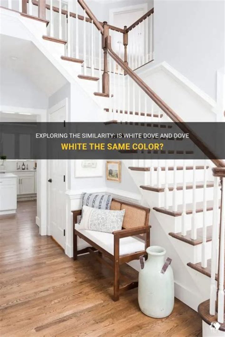 Is white dove and dove white the same color?