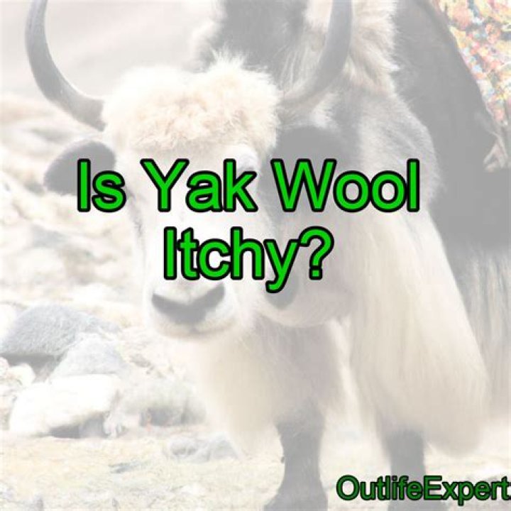 Is yak wool durable?
