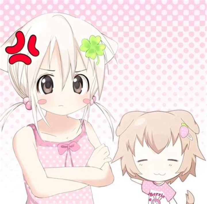 Is Yin and wanwan related?