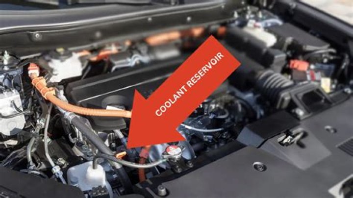 Should I be able to see coolant in the radiator?