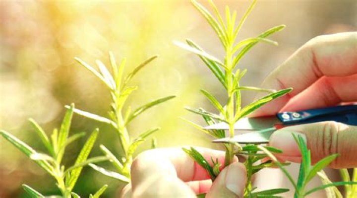 Should I cut off contact with my crush?