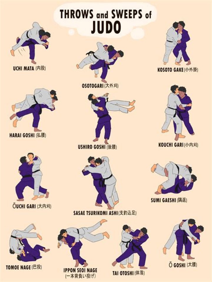 Should I do BJJ or Judo?