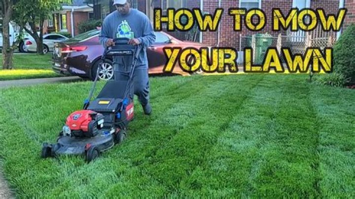 Should I mow my lawn in November?