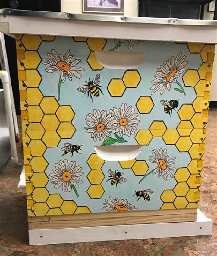 Should I paint my bee box?