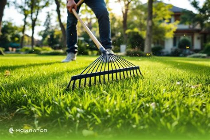 Should I rake my lawn after mowing?