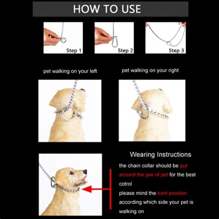 Should I use a choke collar on my dog?