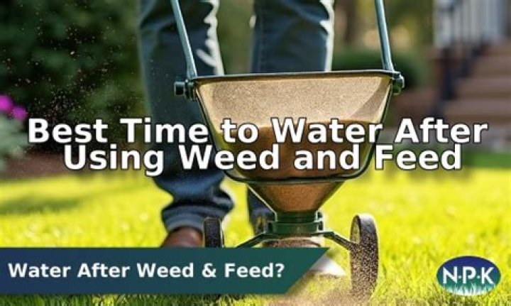 Should I water after lime?