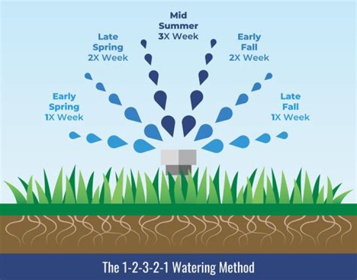 Should I water my grass every day in the summer?