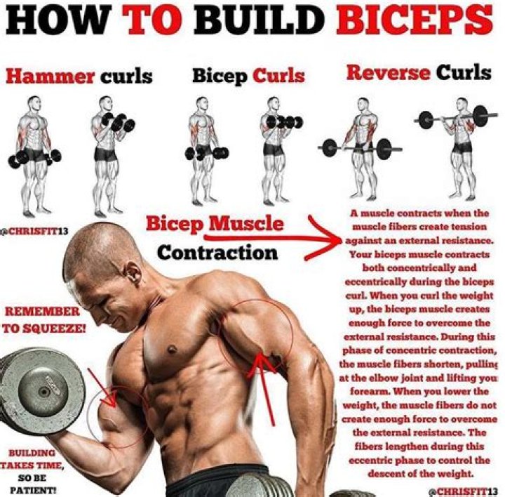 Should you go heavy on biceps?