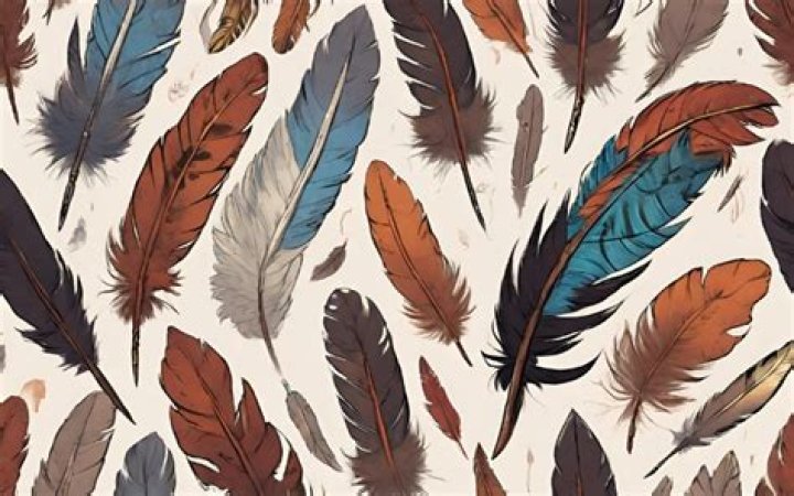 Should you keep feathers you find?
