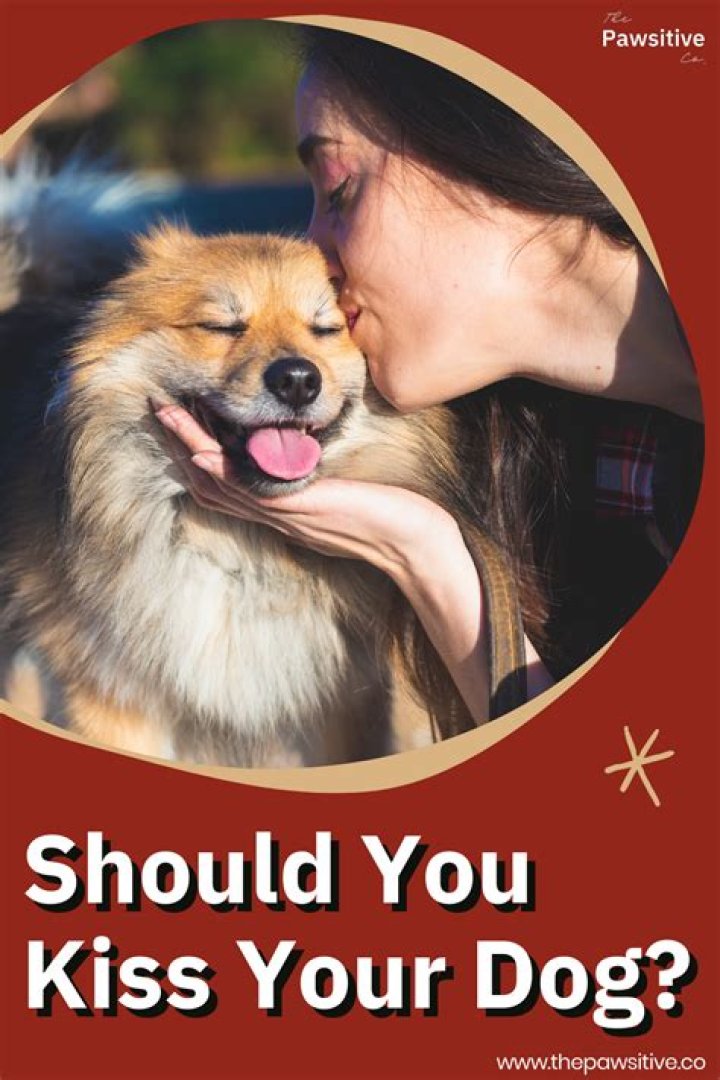 Should you kiss your dog?