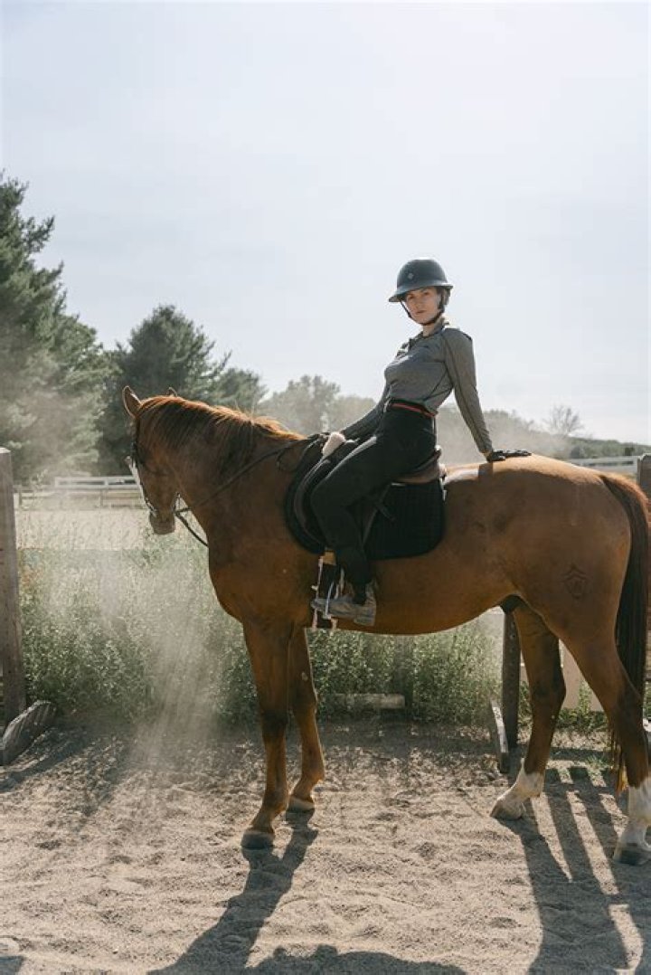 Should you ride your horse everyday?