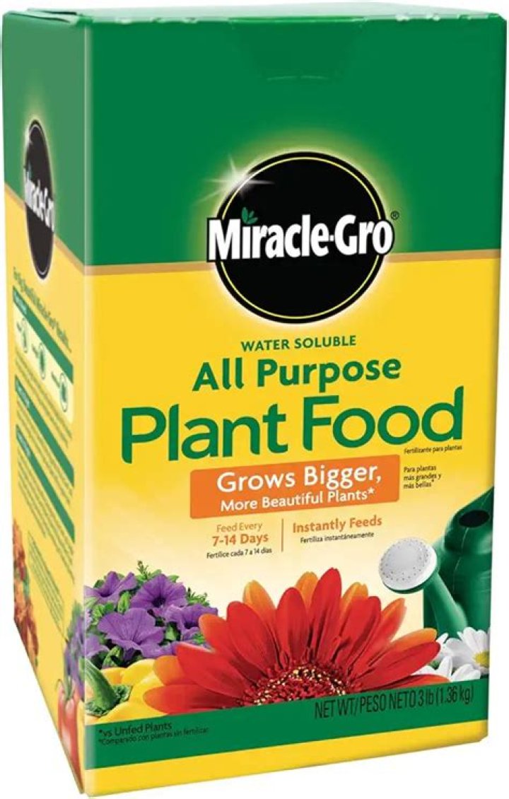 Should you water after Miracle-Gro?