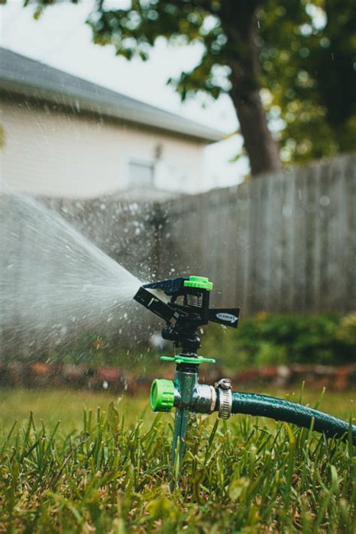 Should you water the lawn after a freeze?