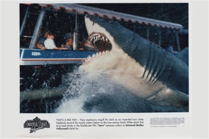 Was a real shark used in Jaws?