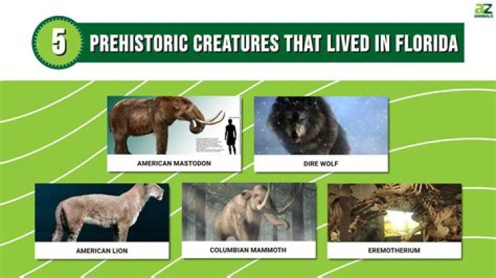 Were there dinosaurs in Florida?