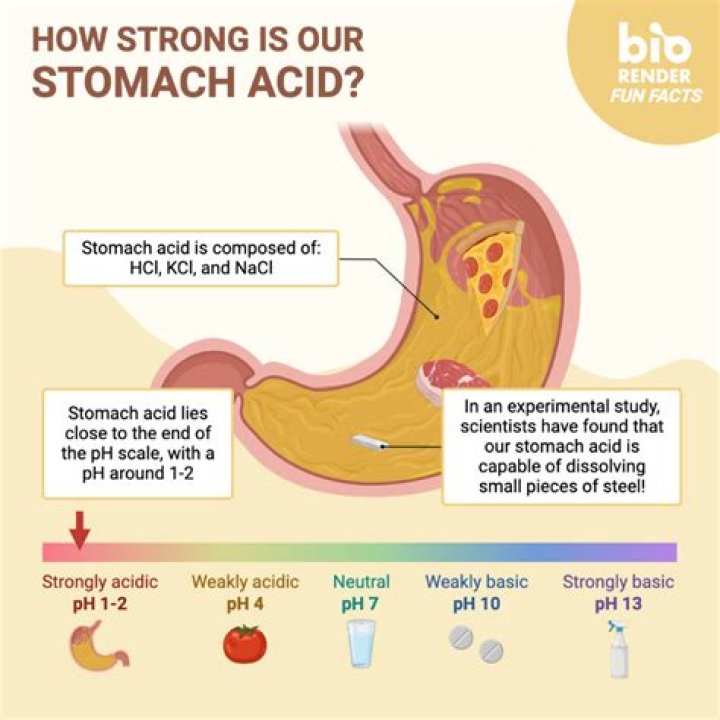 What acid is stronger than muriatic acid?
