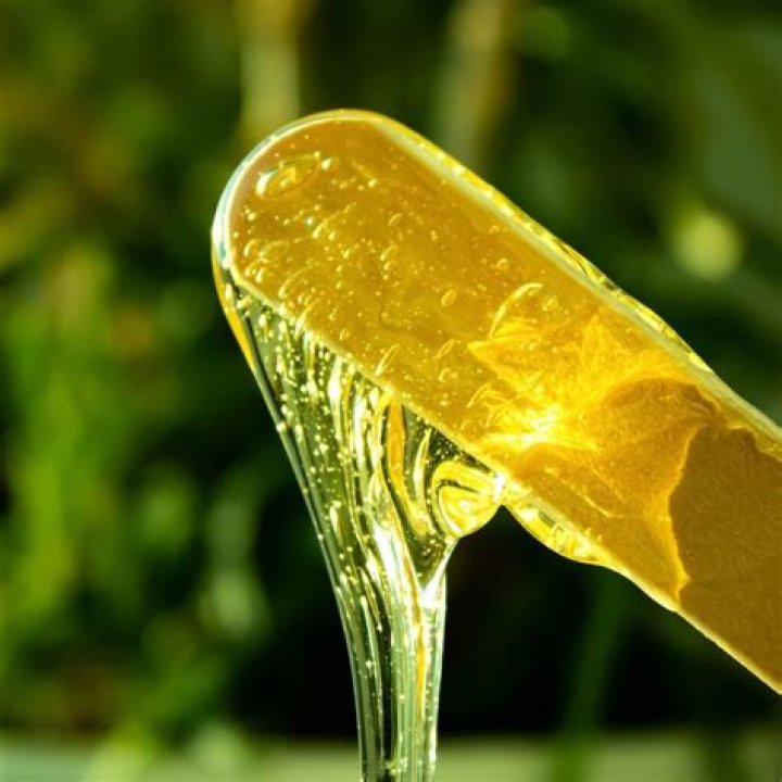 What age can you start sugaring?