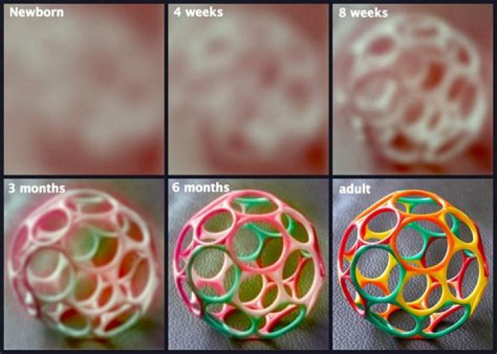 What age do babies see color?