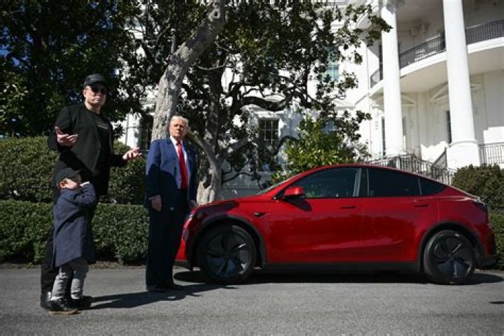 What age group buys Tesla?