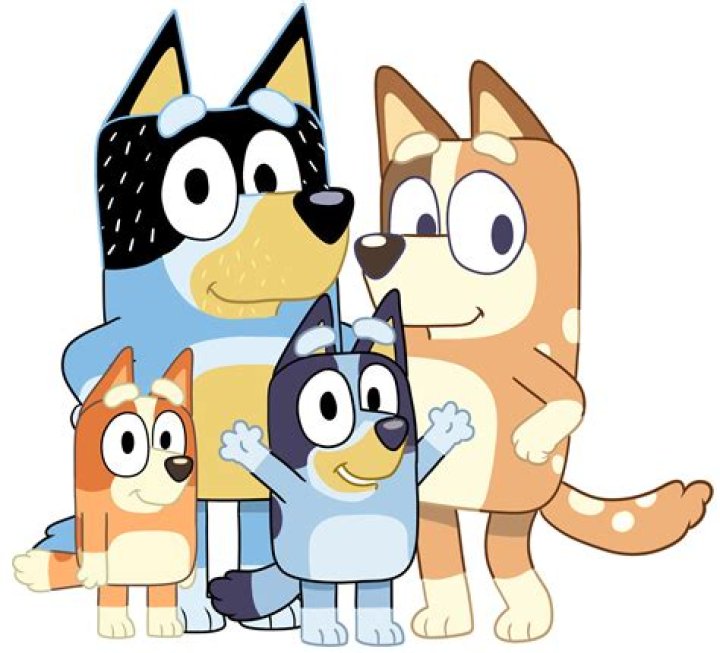 What age is Bluey aimed at?