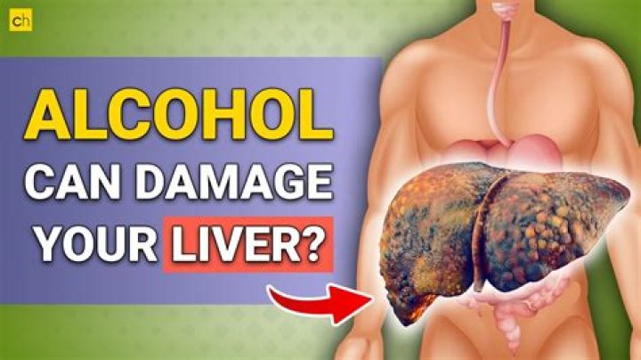 What alcohol does the least damage to your liver?