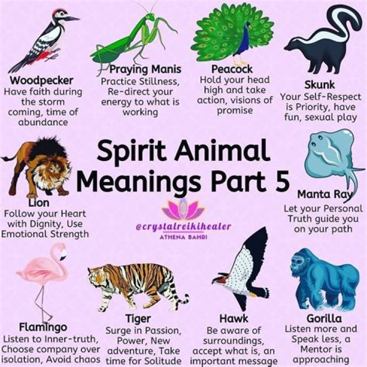 What animal represents protection?