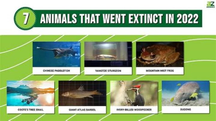 What animal went extinct in 2022?