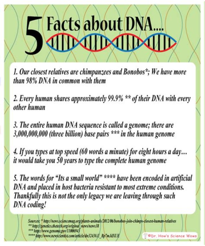 What are 5 facts about DNA?