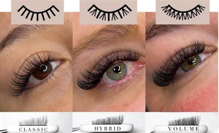 What are 6D lashes?