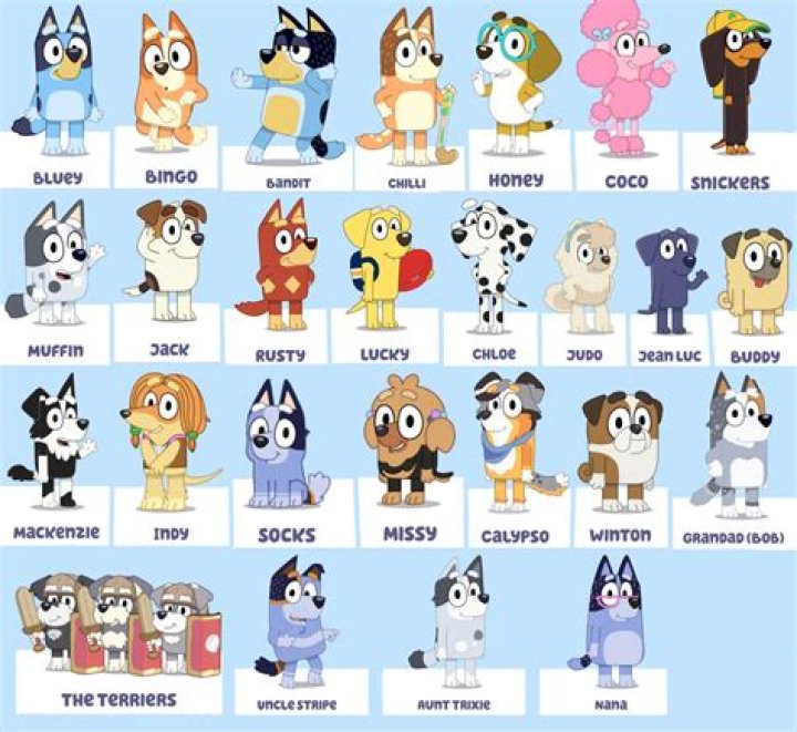 What are Bluey and bingo granny names?
