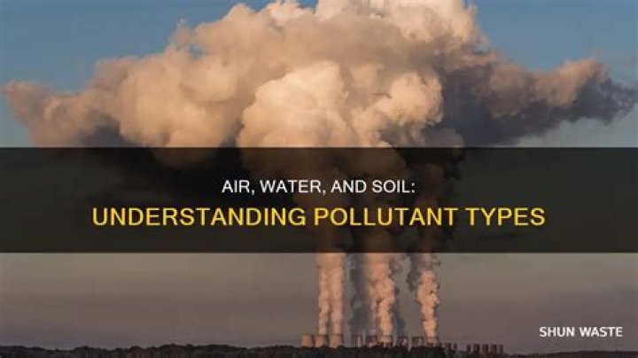 What are different types of pollutants?