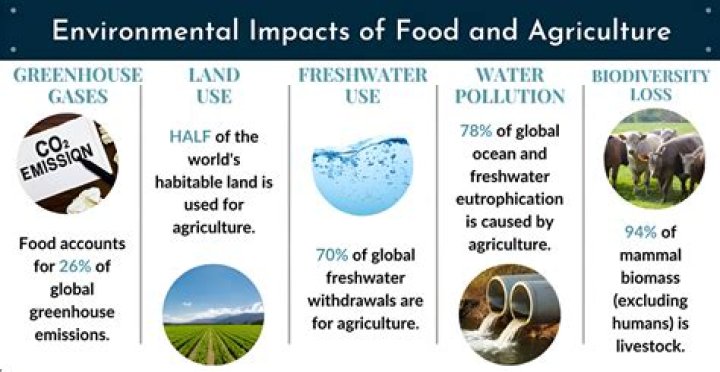 What are five environmental effects of agriculture Why do they happen and what is the impact?