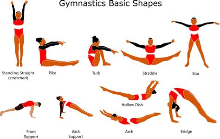 What are gymnast moves called?