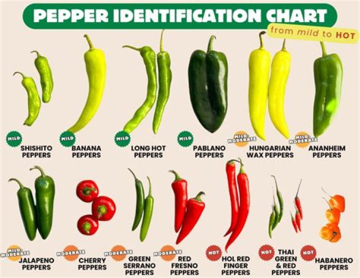 What are Mexican peppers called?