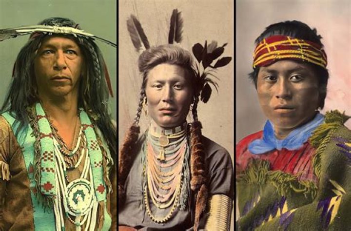 What are Native American traits?